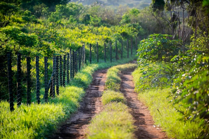 Amazing Opportunity - 2ha Land to Develop 60 Units