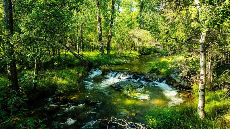 26 Fawn Trail, Banner, Wyoming, United States. - Photo 4