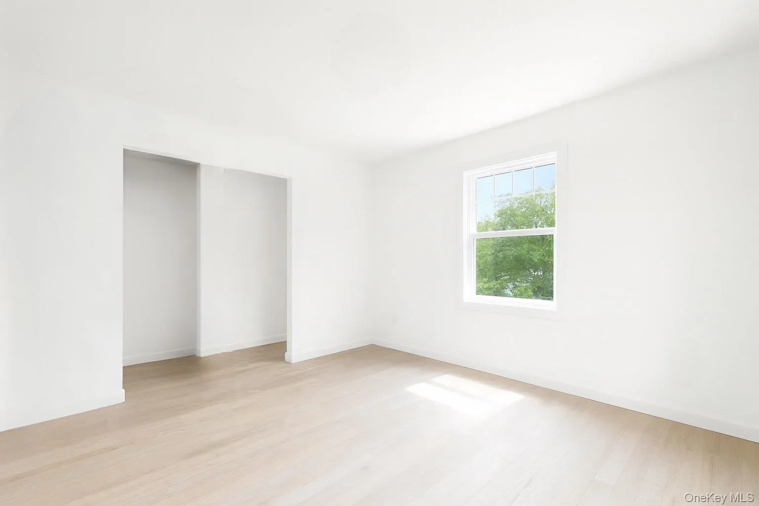 Gallery photo 2
