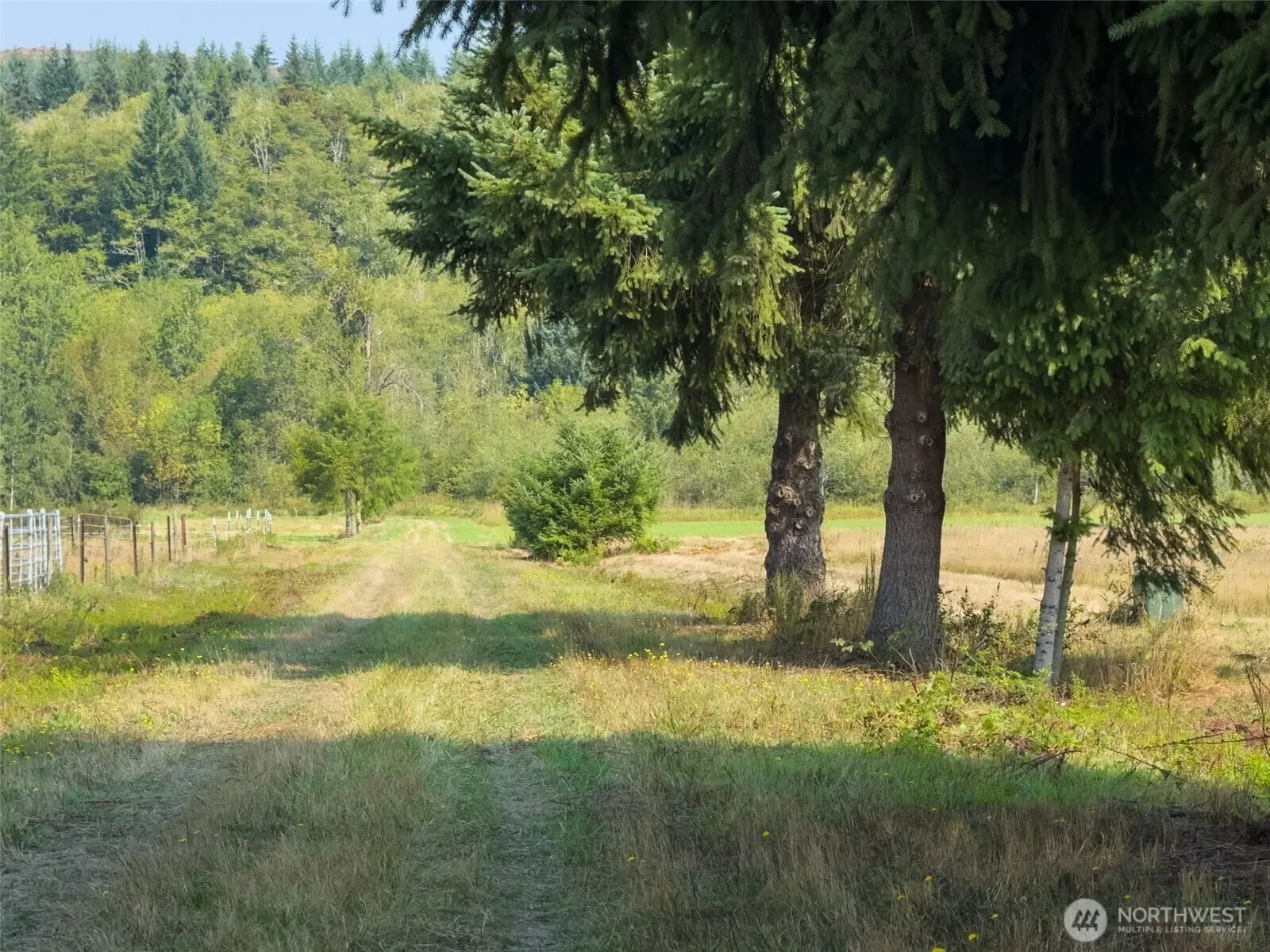 104 Bills Lane, Onalaska, WA 98570, Onalaska, Washington, United States. - Photo 14