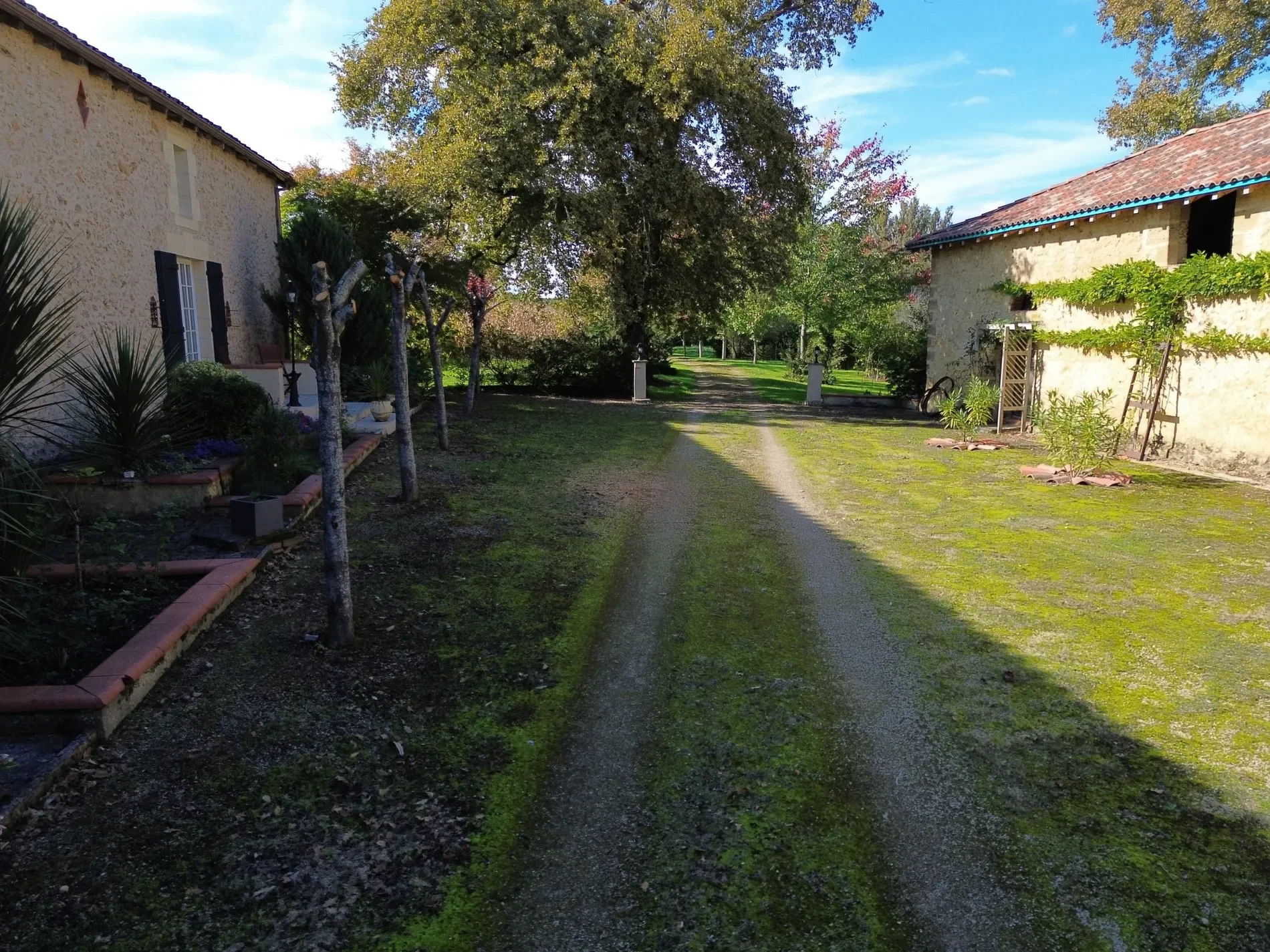 Cazaubon, Occitanie, France. - Photo 9