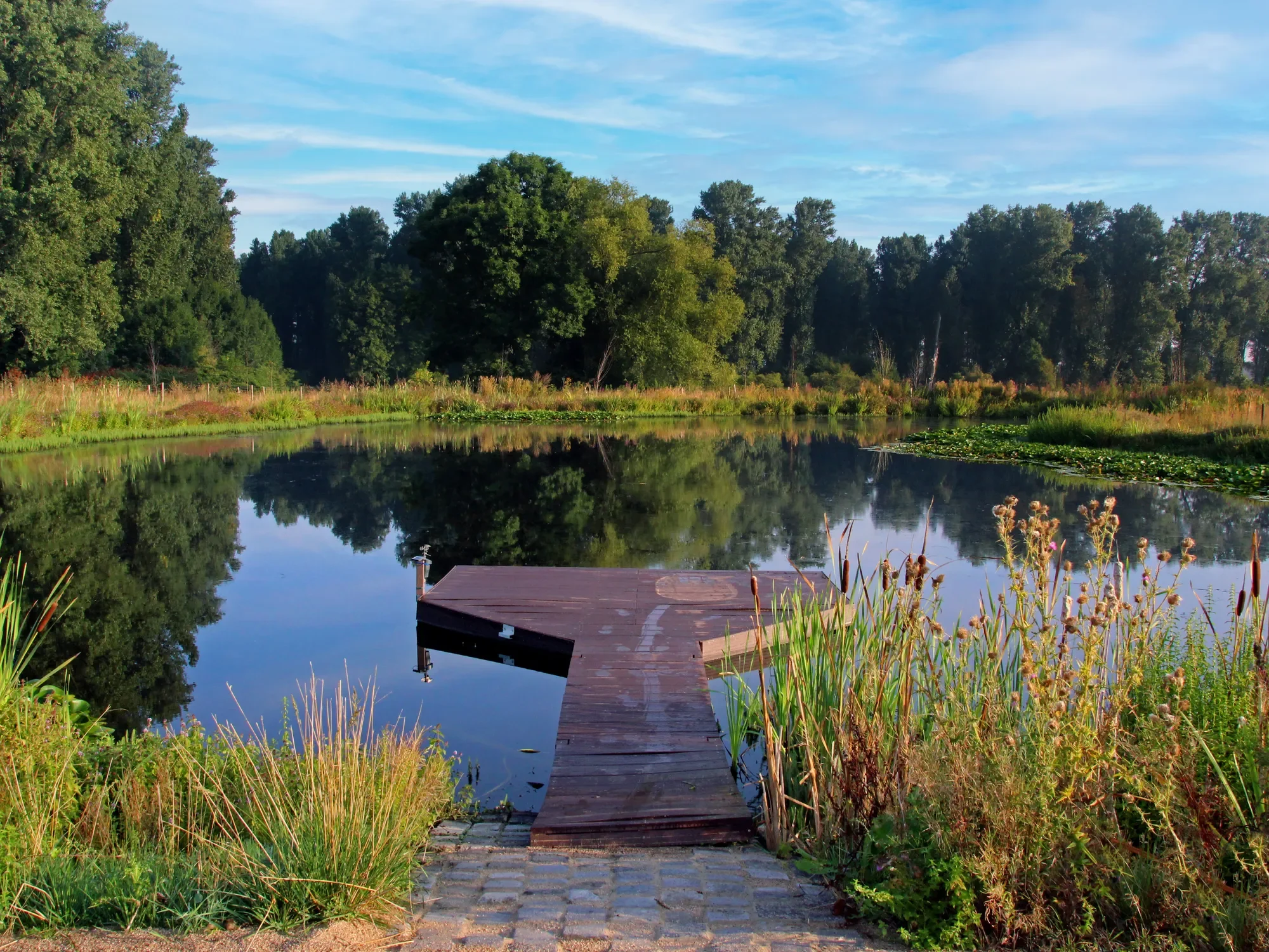 40 Meerbusch, Germany, Meerbusch, Germany. - Photo 12