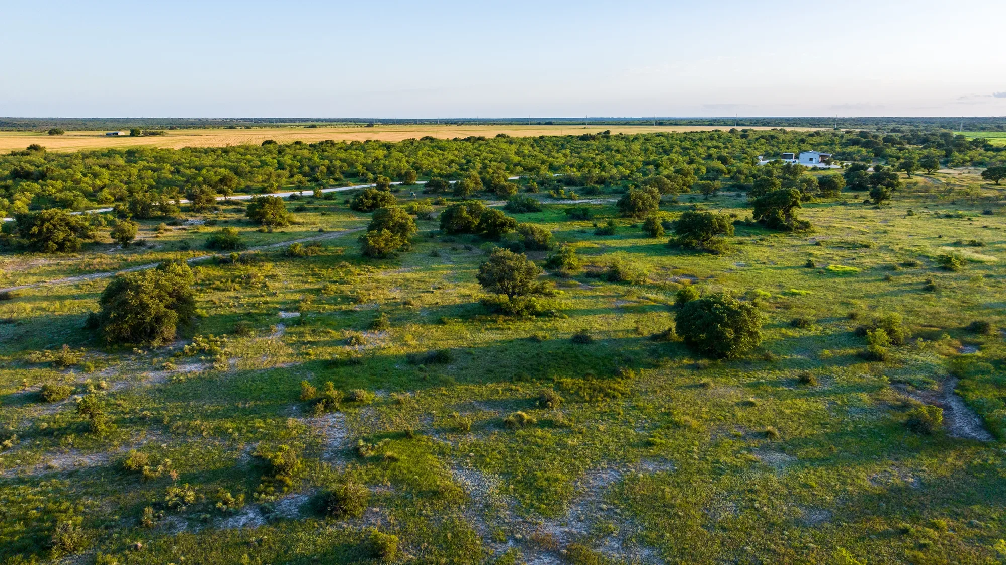 Brady Creek Ranch CR 3388, Melvin, TX 76858, Melvin, Texas, United States. - Photo 5