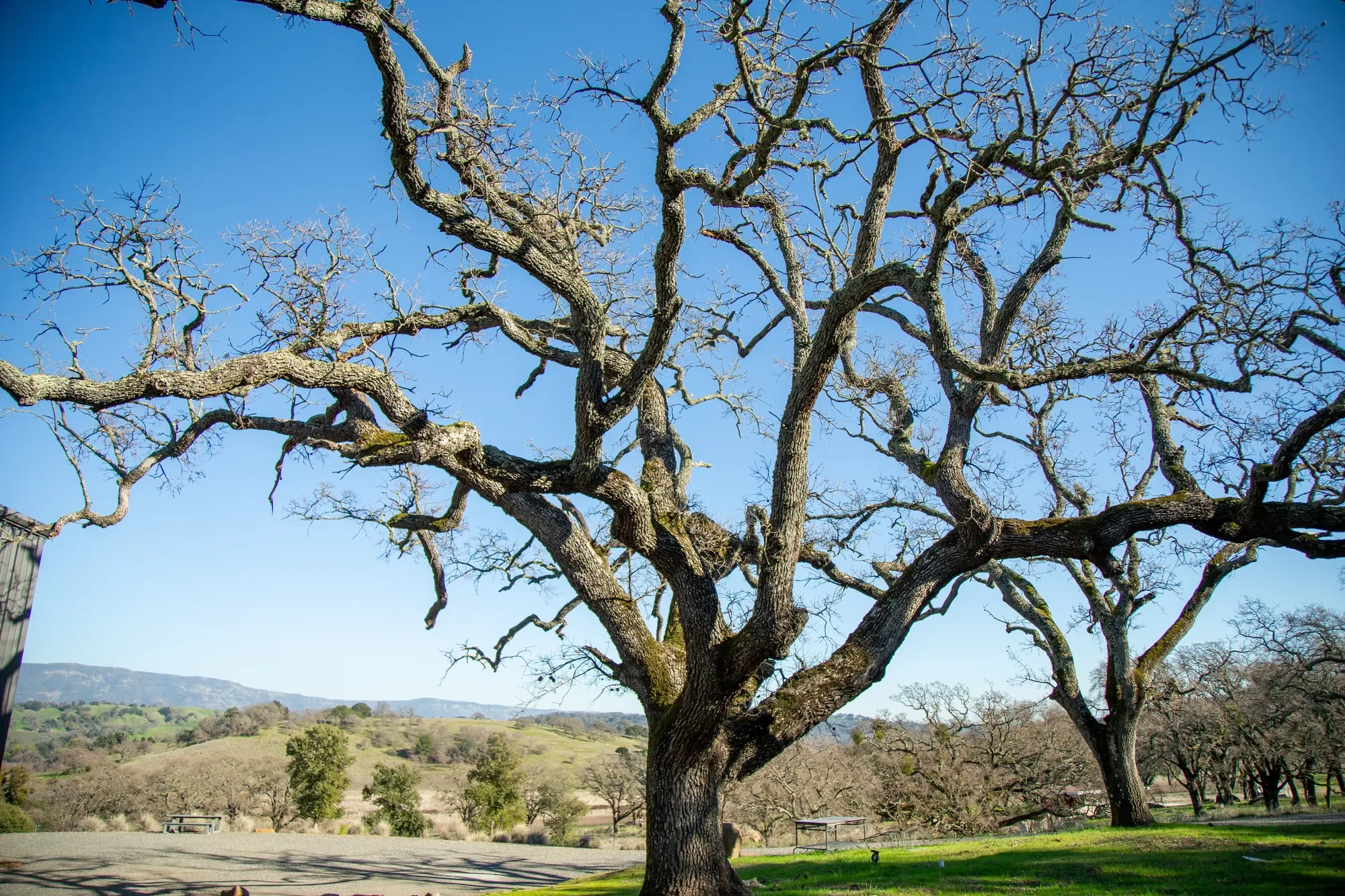 3576 Monticello Road , Napa, CA 94558, Napa, California, United States. - Photo 12