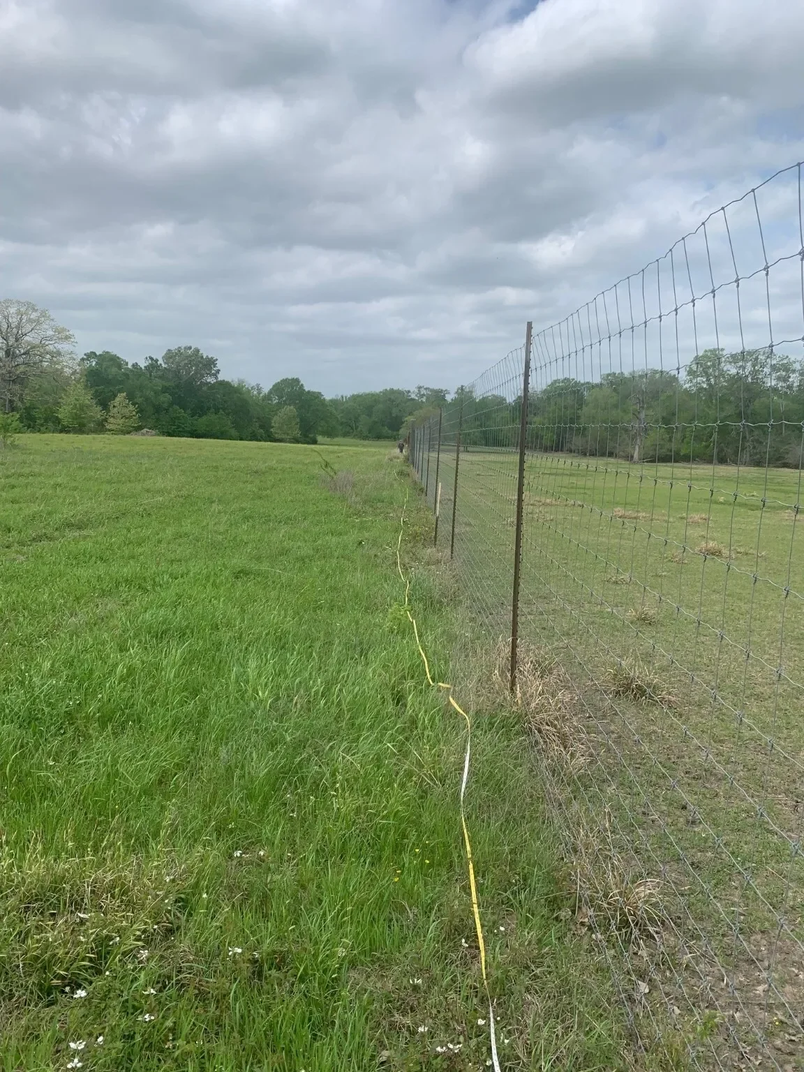 25572 Johnson Road, Montgomery, TX 77356, Montgomery, Texas, United States. - Photo 2