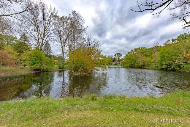24436 West Woodridge Way, Joliet, IL 60404, Joliet, Illinois, United States. - Photo 30