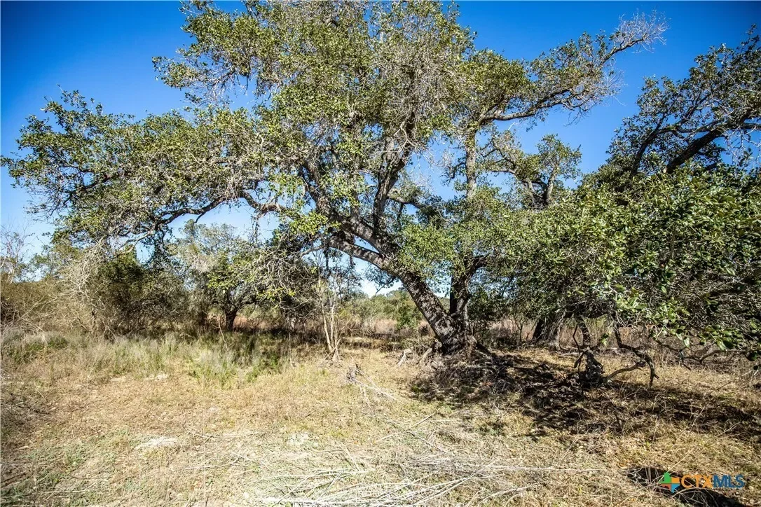 6498 Hwy 35 N, Rockport, TX 78382, Rockport, Texas, United States. - Photo 29