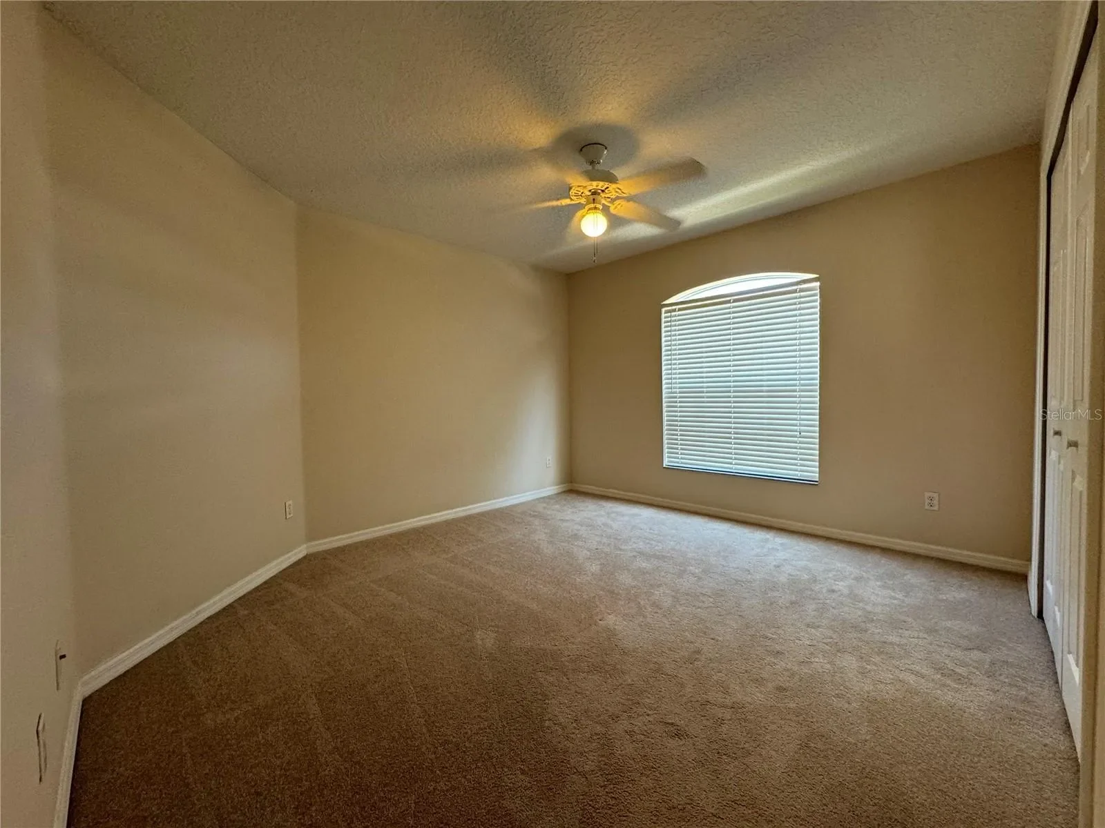 Gallery photo 2