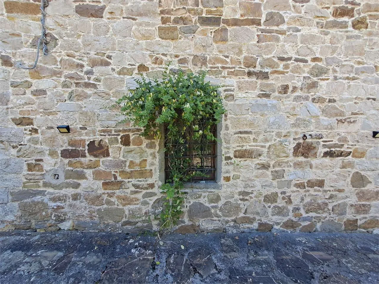 Gaiole in Chianti, Tuscany, Italy. - Photo 40