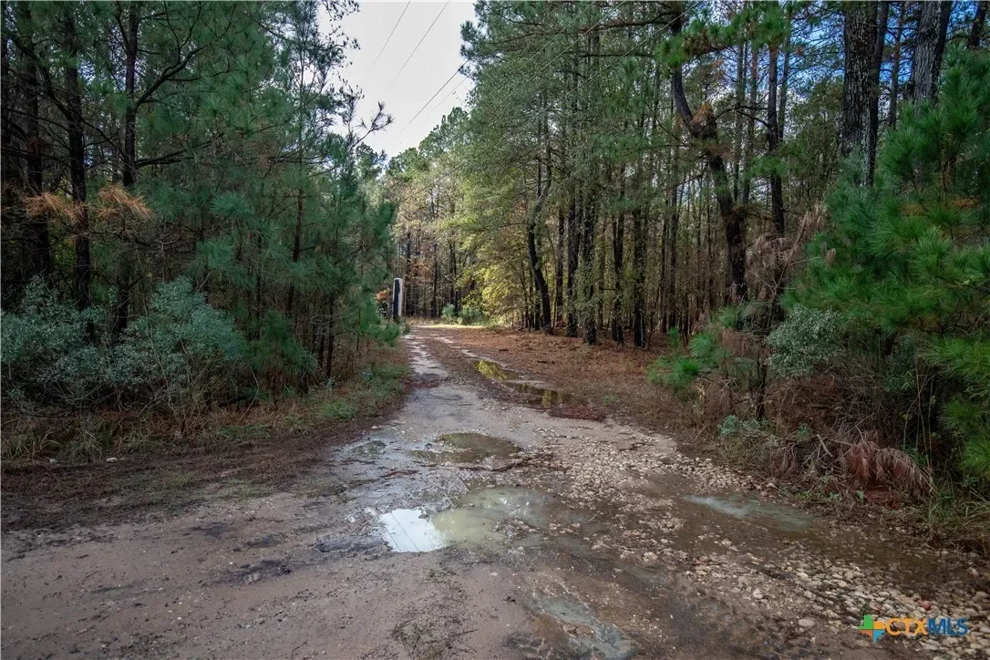 474 Pr 4311, White Oak, TX 75693, Longview, Texas, United States. - Photo 19