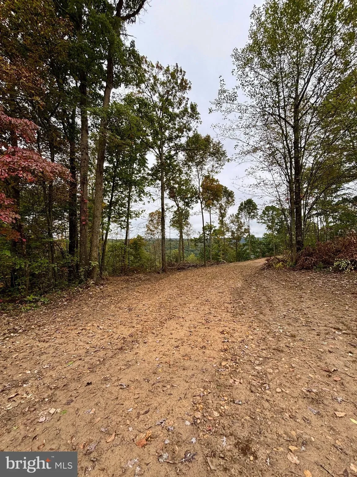 31-36 BEECH CREEK MOUNTAIN RD ROAD, BEECH CREEK, PA 16822, Beech Creek, Pennsylvania, United States. - Photo 20