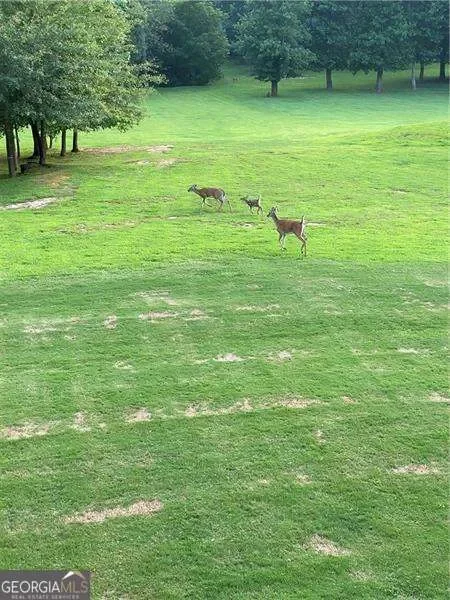 Ball Ground, Georgia, United States. - Photo 51