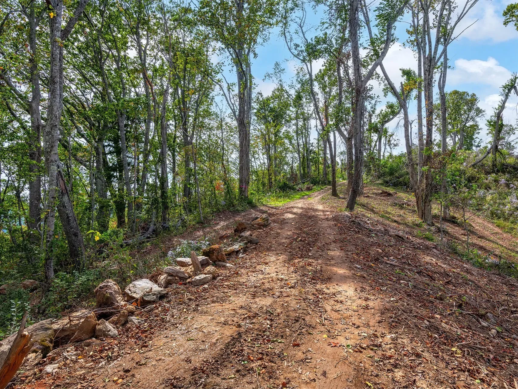 566 Elk Mountain Scenic, Asheville, NC, 28804, USA, Weaverville, North Carolina, United States. - Photo 6