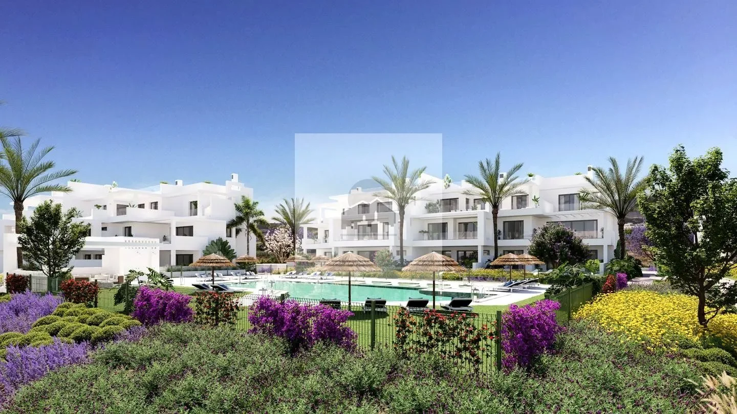 Arroyo de enmedio, Estepona, Málaga, Estepona, Estepona, Andalusia, Spain. - Photo 13