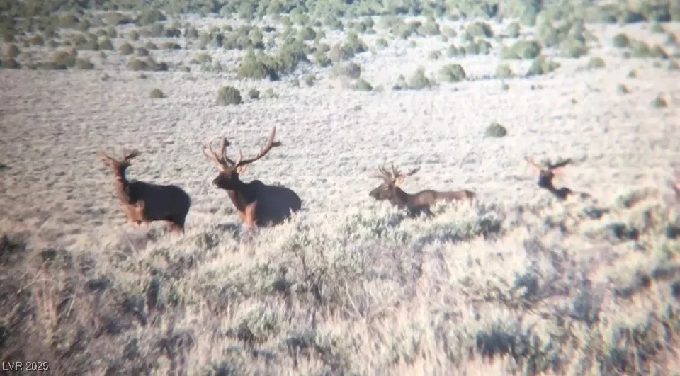 13300 Willard Creek Ranch Road, Osceola, Nevada, United States. - Photo 3