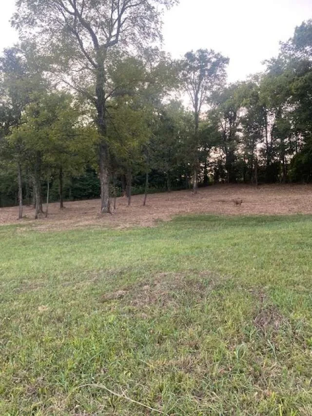4243 Beech Log Rd, Watertown, Tennessee, United States. - Photo 23