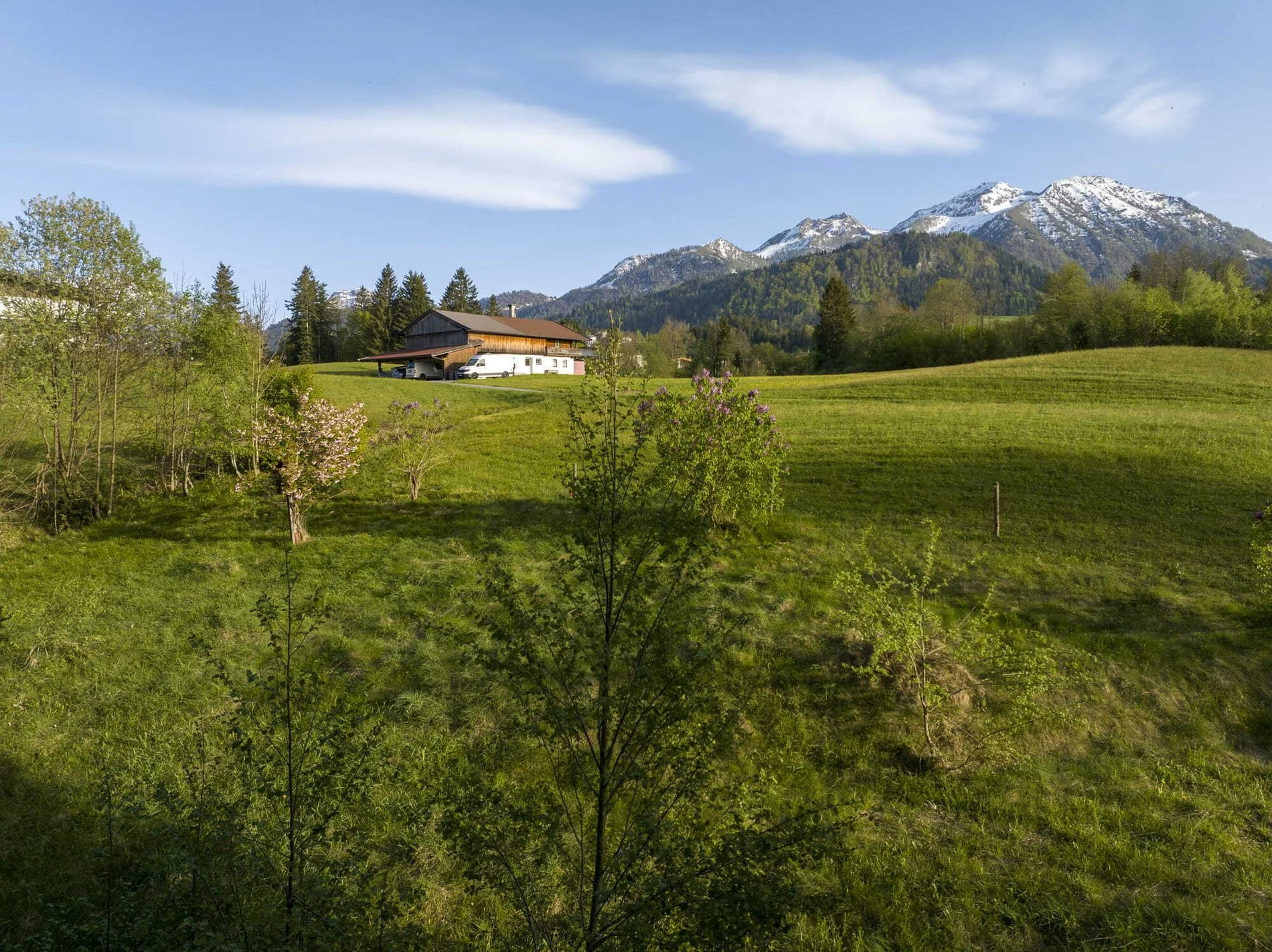 Am Berg, Fieberbrunn, Tyrol, Austria. - Photo 4