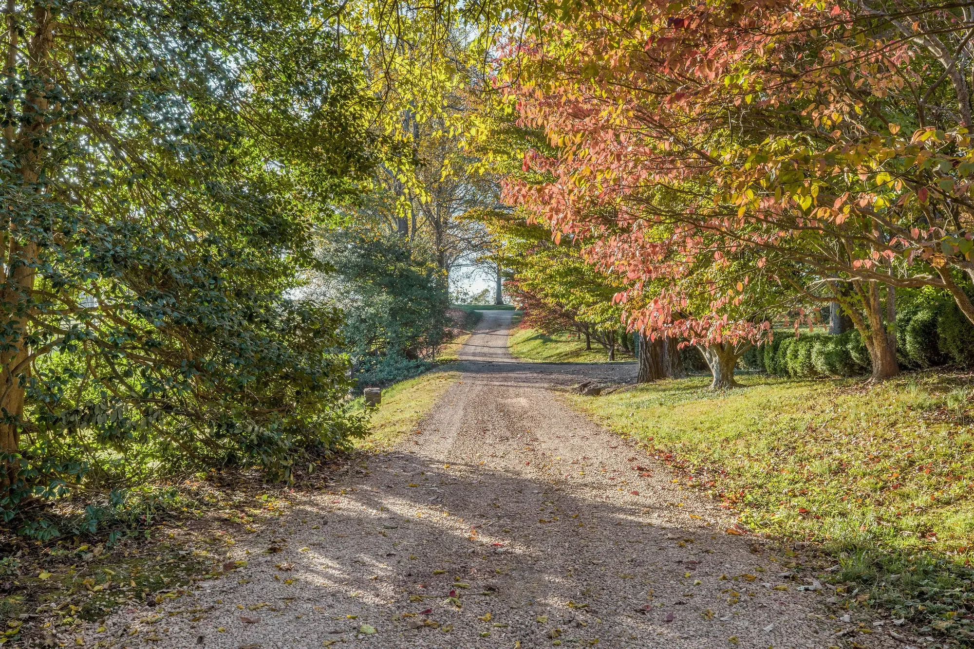 19184 Mount Sharon Road, Orange, VA 22960, Rapidan, Virginia, United States. - Photo 58