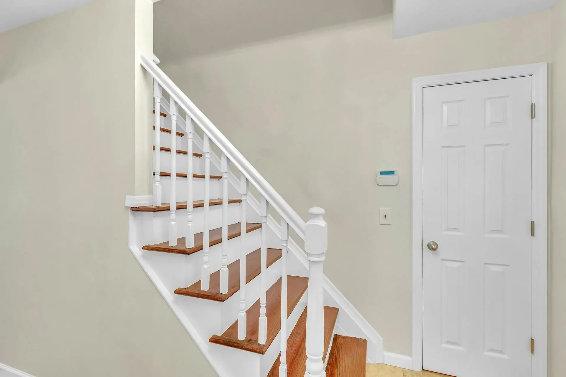 Gallery photo 7