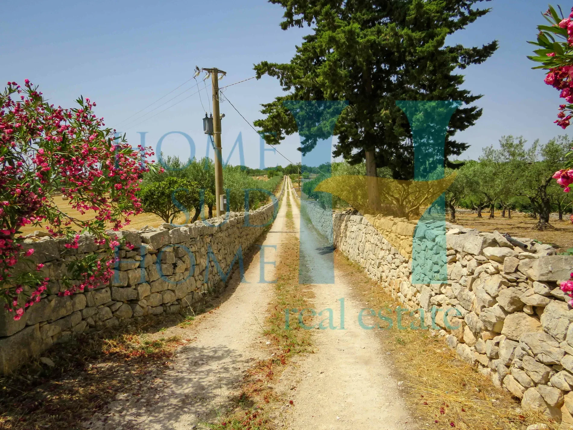 96019 Rosolini, Province of Syracuse, Italy, Rosolini, Sicily, Italy. - Photo 37