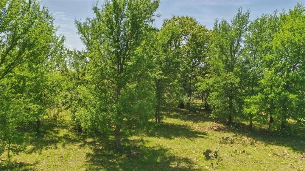 1359 County Road 195, Gorman, TX 76454, Comanche, Texas, United States. - Photo 26