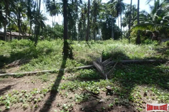 5.34 RAI KOH SAMUI BEACH FRONT LAND S1667