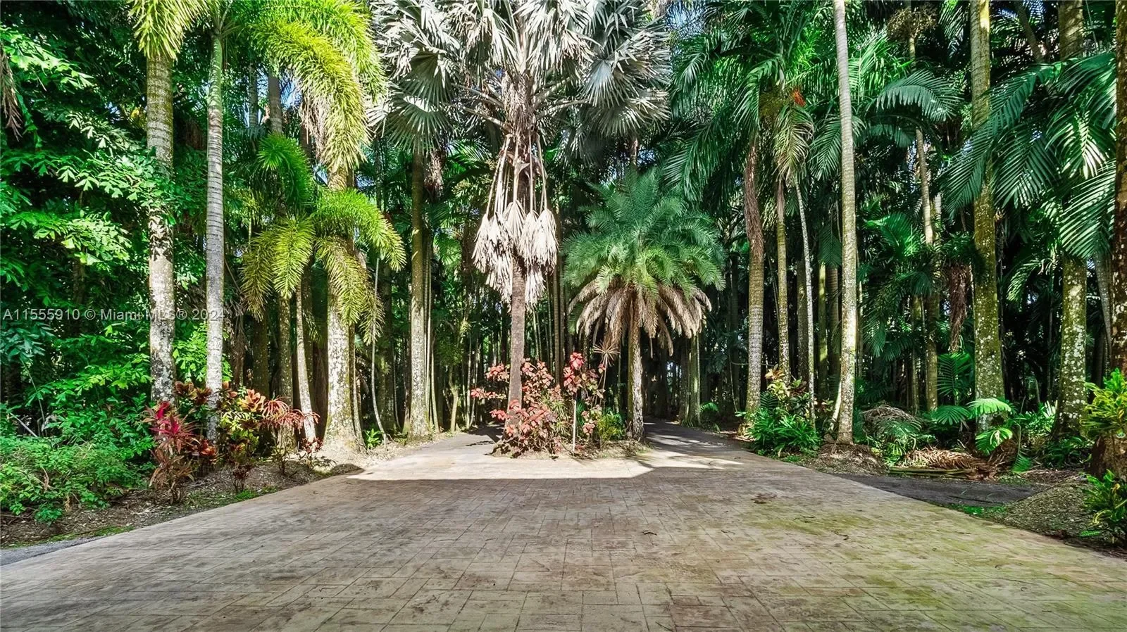 20551 SW 162nd Ave, Miami, Florida, United States. - Photo 26
