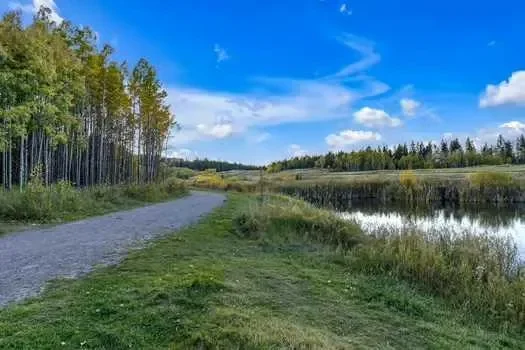 41 Evergreen MOUNT SW S, Calgary, AB, T2Y 0K1, CANADA, Calgary, Alberta, Canada. - Photo 9