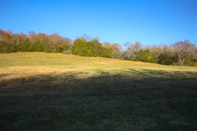 0 Peytonsville Rd, Franklin, TN 37064, Franklin, Tennessee, United States. - Photo 13