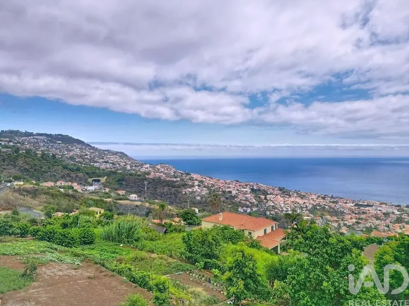 Monte, Funchal, Ilha da Madeira, Funchal, Monte, Madeira, Portugal. - Photo 8