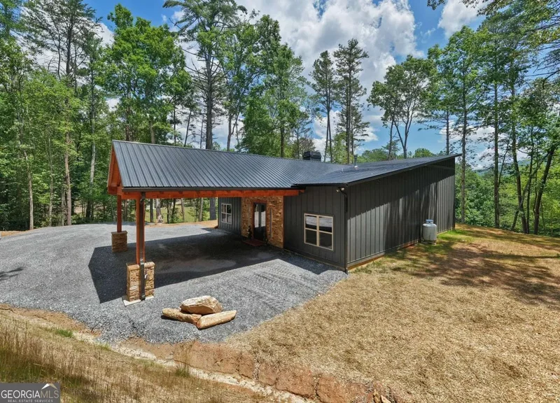 2461 Salem Road, Mineral Bluff, GA 30559, Mineral Bluff, Georgia, United States. - Photo 84