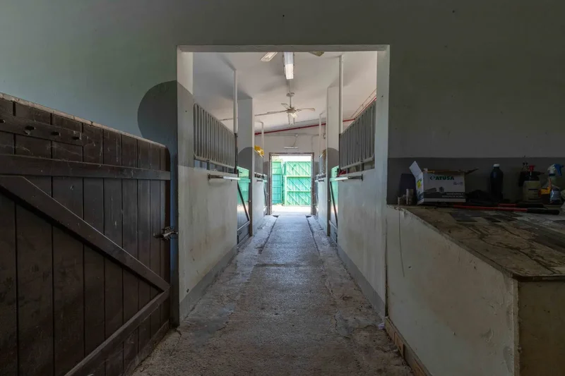 San salvador, Medio Cudeyo, CANTABRIA, Medio Cudeyo, Medio Cudeyo, Cantabria, Spain. - Photo 14