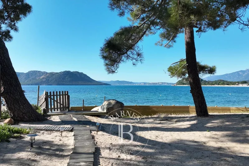 San-Gavino-di-Carbini, Corsica, France. - Photo 6
