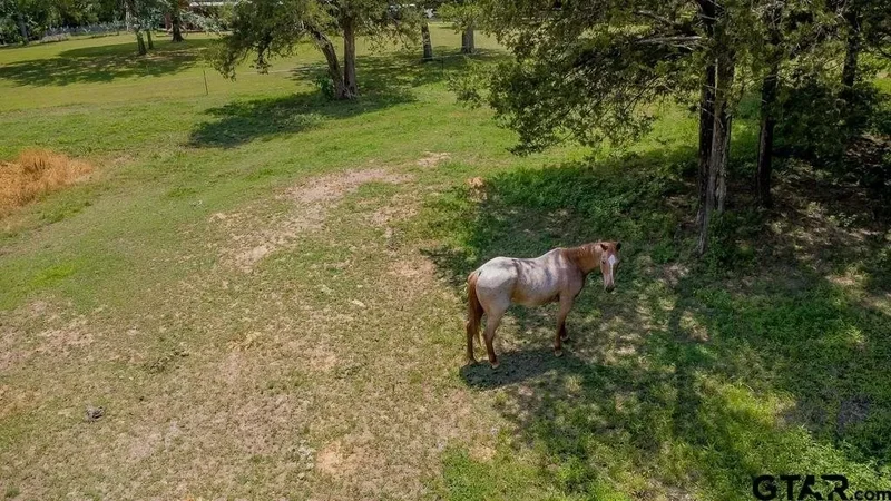 249 PR 6936, Alba, TX 75410, Mineola, Texas, United States. - Photo 20