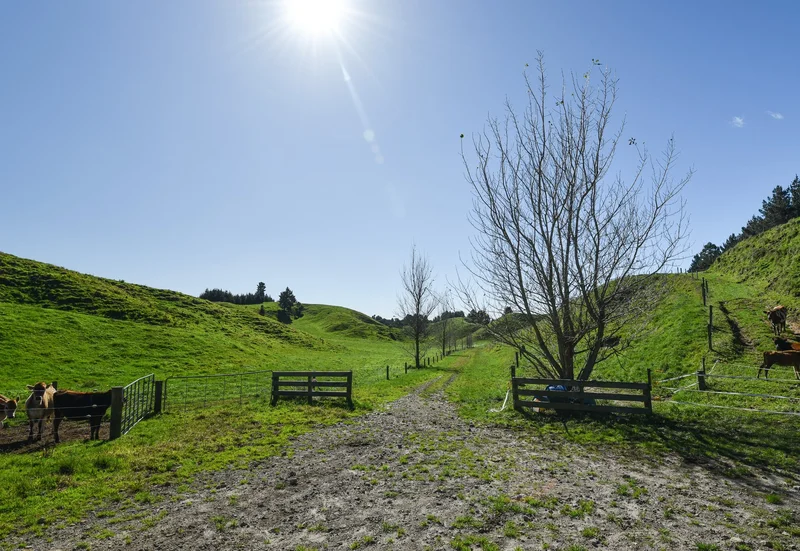 248 Lichenstein Road, Okere Falls, Rotorua, BOP 3074, Okere Falls, Bay of Plenty, New Zealand. - Photo 14