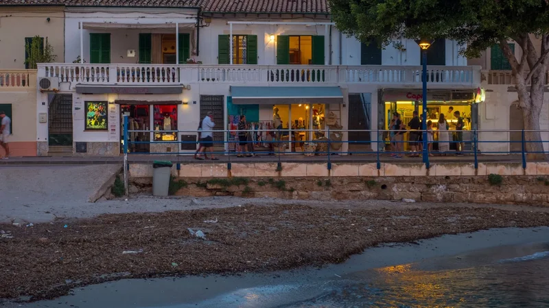 Av. Almirante Riera Alemany, 3, 07157 Port d'Andratx, Illes Balears, España, Port d'Andratx, Andratx, Balearic Islands. - Photo 13