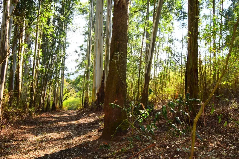 R 11 000,000 - 14.89 Ha Vacant Land for Sale in Montrose