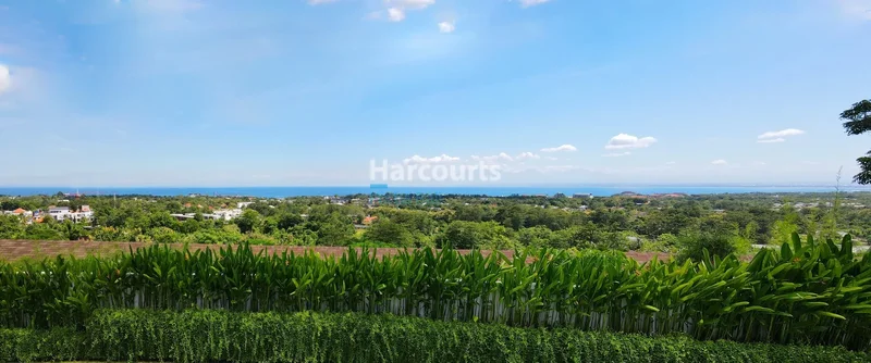 Bali, Bukit Peninsula, Bali, Indonesia. - Photo 32