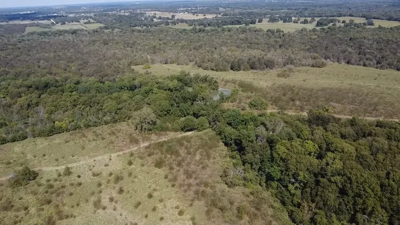Tbd SW CR 3160, Dawson, TX 76639, Hubbard, Texas, United States. - Photo 20