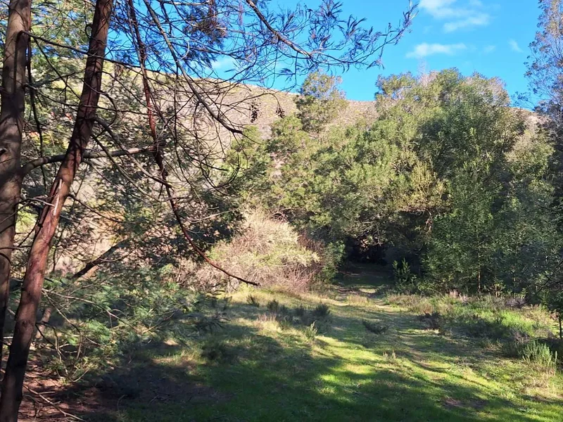 George, Western Cape, South Africa. - Photo 39