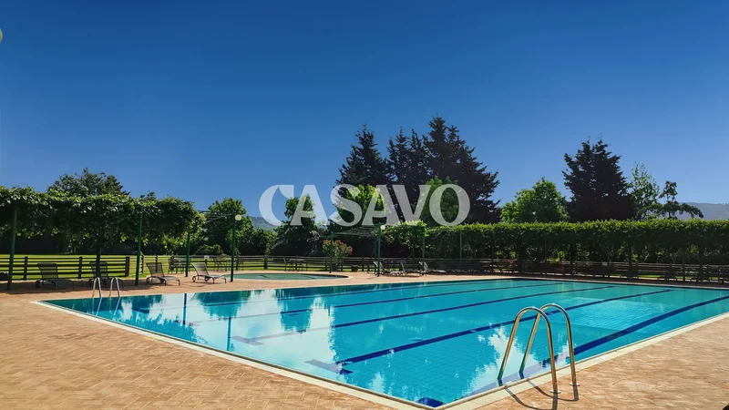 57022 Castagneto Carducci, Province of Livorno, Italy, Castagneto Carducci, Italy. - Photo 73