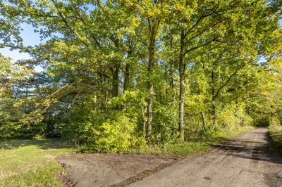 Thumbnail 29