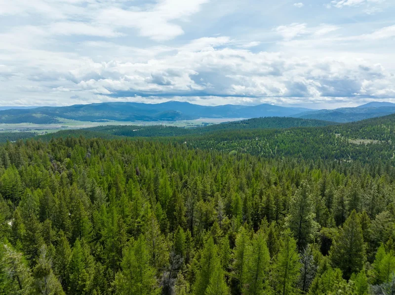 NHN Copper Road, Kalispell, Montana, United States. - Photo 7