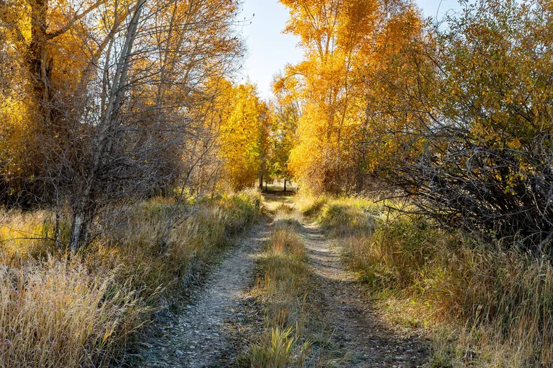 7050 & 7151 N River Valley Drive, Peoa, UT 84061, Park City, Utah, United States. - Photo 96
