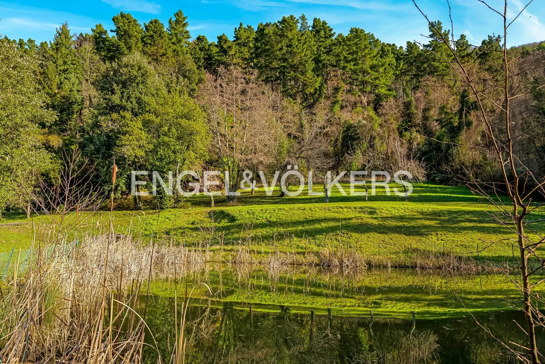 54013 Fivizzano MS, Italy, Fivizzano, Tuscany, Italy. - Photo 16