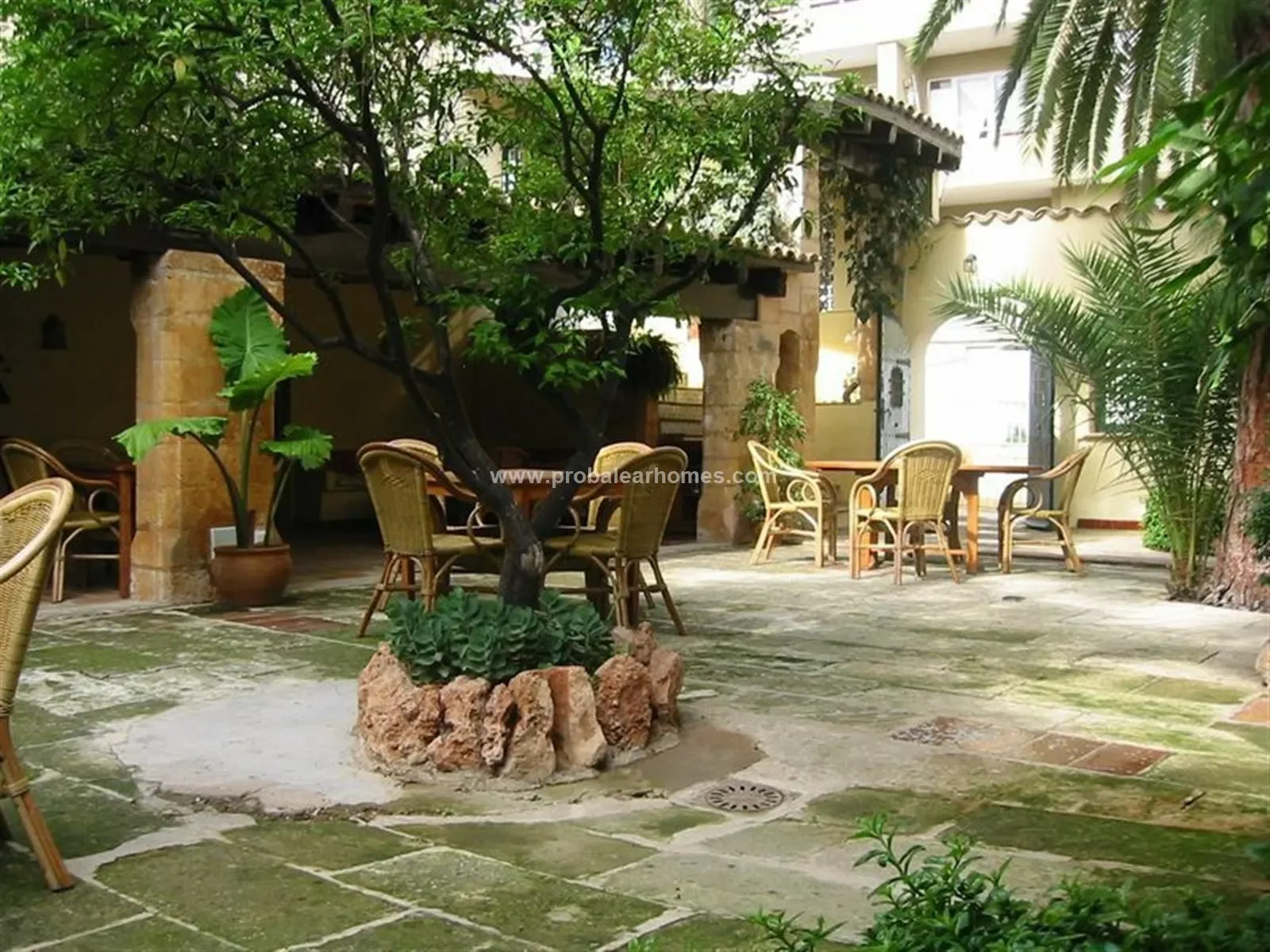EL TERRENO, PALMA DE MALLORCA, Baleares, PALMA DE MALLORCA, Palma, Balearic Islands, Spain. - Photo 13