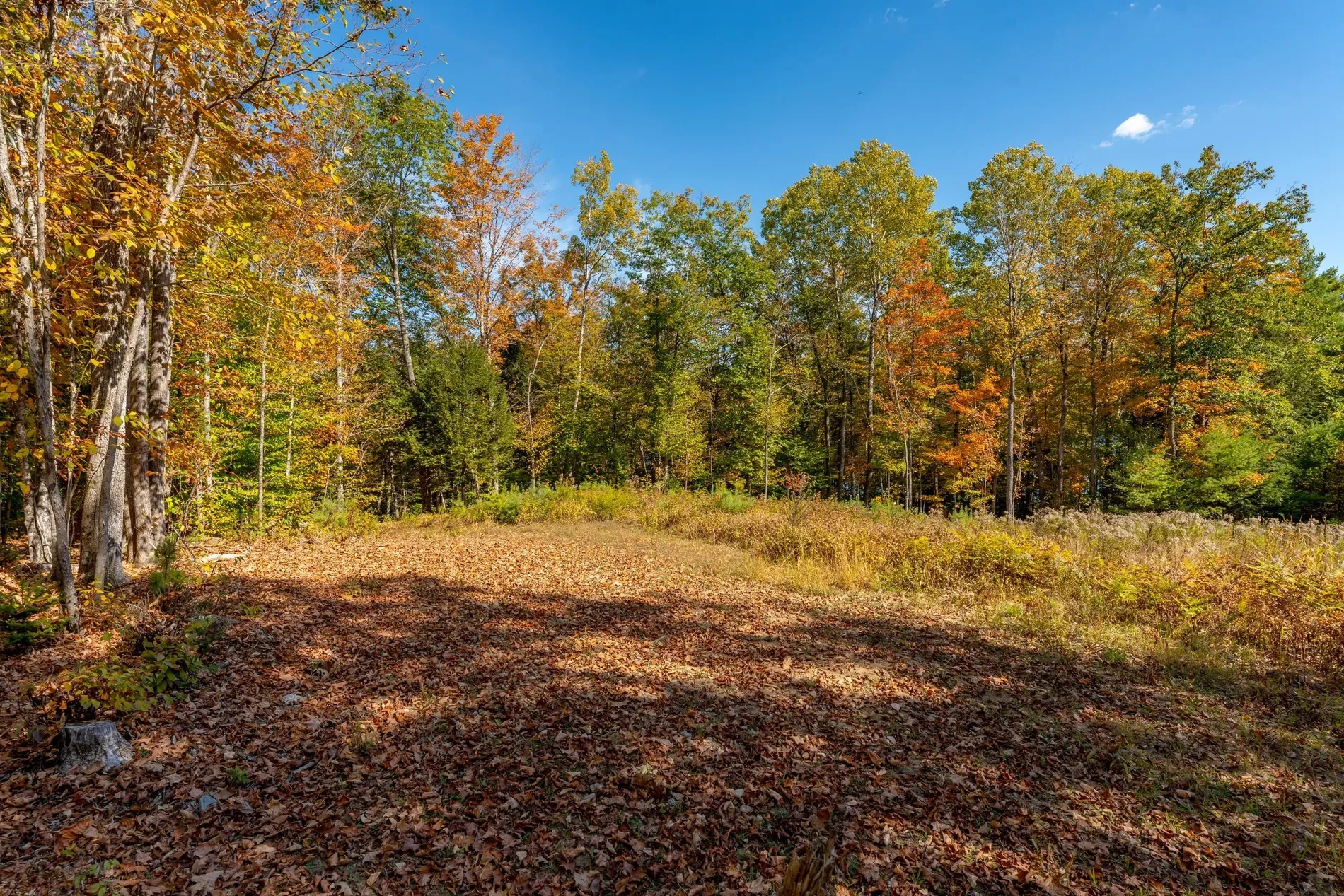 59 Bobcat Way, Norway, ME 04268, Norway, Maine, United States. - Photo 34