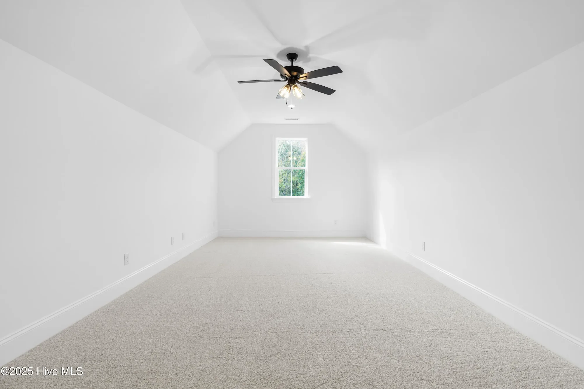 Gallery photo 3
