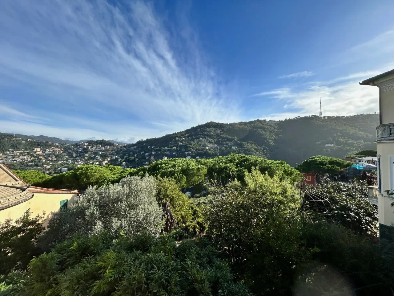 Gallery photo 11