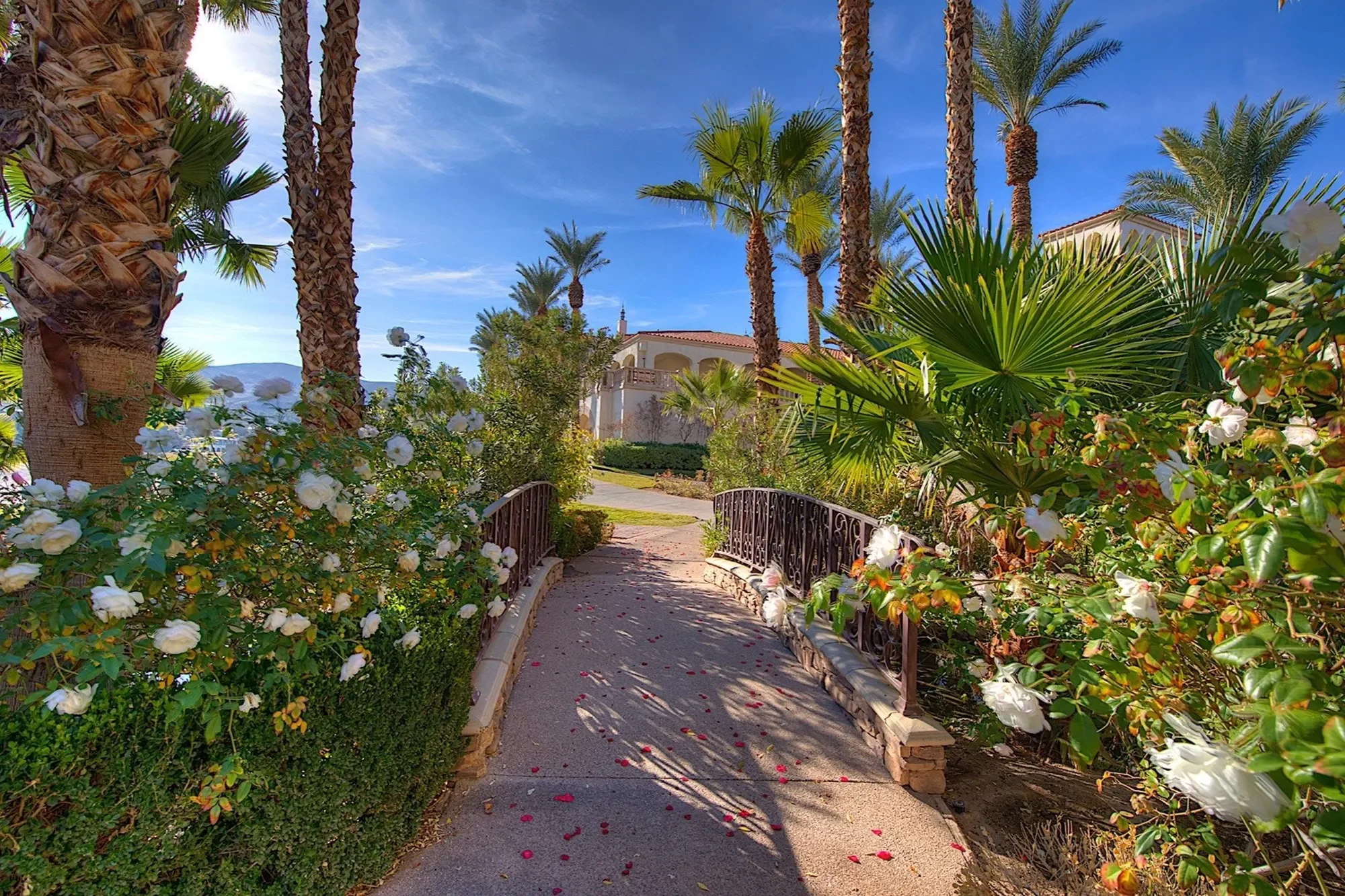 351 Tigullio Avenue, Henderson, NV 899011, Henderson, Nevada, United States. - Photo 48